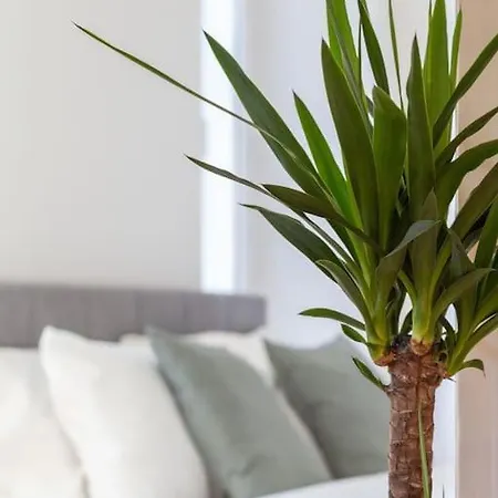 Stylish - Casa Leone - Center *